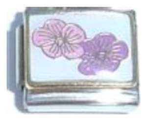 Pink Flowers White Background Italian Charm