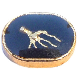 Aquarius Zodiac Floating Locket Charm