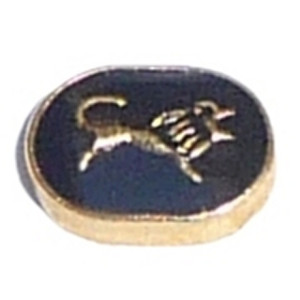Leo Zodiac Floating Locket Charm Leo Zodiac Floating Locket Charm