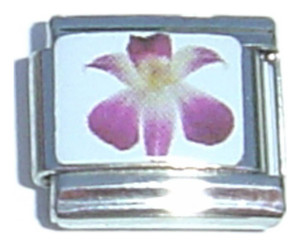 Pink Flower Picture Italian Charm