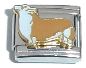 White And Tan Dog Italian Charm