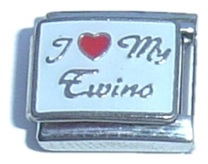 I Love My Twins Italian Charm I Love My Twins Italian Charm
