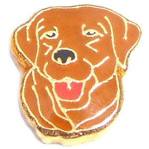 Brown Dog Floating Locket Charm