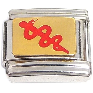 Red Medical Symbol Asclepius Caduceus Italian Charm
