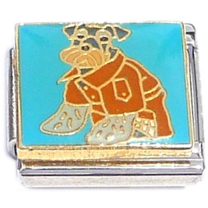Dog in Jacket on Blue Italian Charm