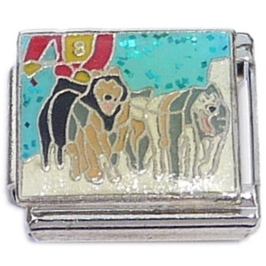 Dog Sled Team Italian Charm