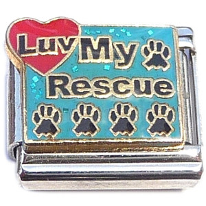 Luv My Rescue Dog or Cat on Blue Italian Charm
