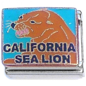 California Sea Lion Brown Italian Charm California Sea Lion Brown Italian Charm