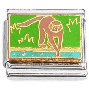 Cute Monkey Drinking Water Italian Charm Cute Monkey Drinking Water Italian Charm