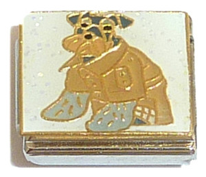 Dog With Jacket Italian Charm