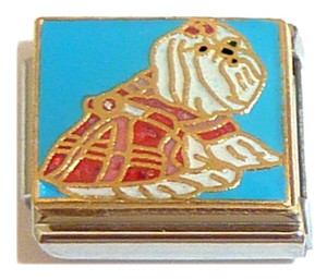 Dog In Red Coat Italian Charm