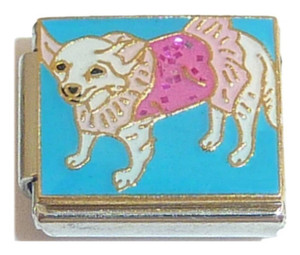 Dog In Ballet Outfit Blue Background Italian Charm