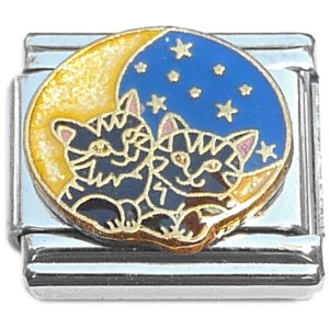 Cats Moon and Stars Italian Charm