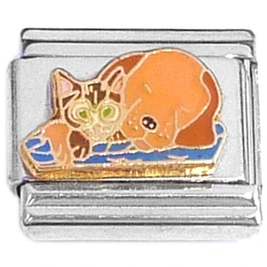 Cat and Dog Snuggles Italian Charm