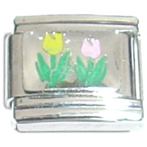 Tulips Yellow Pink Flowers Italian Charm Tulips Yellow Pink Flowers Italian Charm
