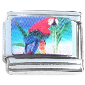 Colorful Tropical Parrot Bird Italian Charm
