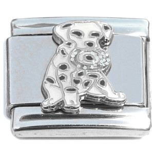 Cute Dalmatian Dog Puppy Italian Charm Cute Dalmatian Dog Puppy Italian Charm