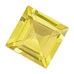 November Square Floating Locket Charm November Square Floating Locket Charm