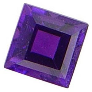 February Square Floating Locket Charm February Square Floating Locket Charm