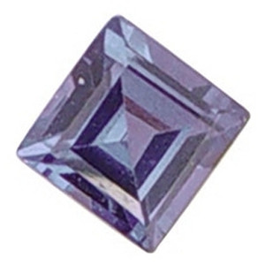 June Square Floating Locket Charm