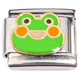 Cute Frog Smiling Italian Charm