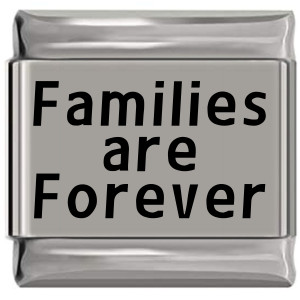 Families Are Forever Laser Engraved Italian Charm (9mm Standard Size)