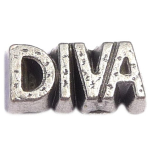 Diva Floating Locket Charm