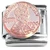 Penny Coin One Cent Italian Charm