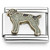 German Pointer Puppy Dog Italian Charm