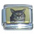 Cat Picture Italian Charm