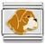 Dog Brown And White Italian Charm