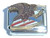 Bald Eagle Italian Charm