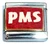 PMS Italian Charm