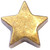 Goldtone Vintage Star Floating Locket Charm