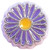 Blue And Yellow Daisy Floating Locket Charm