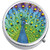 Colorful Peacock Medical Pill Box