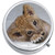 Baby Cub Medical Pill Box