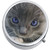 Kitten Cat Pill Box