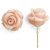 Flower Earrings Peach Rose
