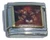 Wild Cat Picture Italian Charm
