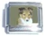 Dog Picture Italian Charm