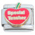 Special Teacher Italian Charm