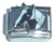 Black Horse Head Italian Charm