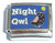 Night Owl Italian Charm