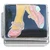 Pink Dancing Tap Shoes Italian Charm