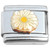 Bursting White Flower Yellow Center Italian Charm