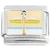 Surfer Girl Birds Surfboard Italian Charm
