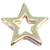 Goldtone Open Star Floating Locket Charm