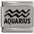 Aquarius Zodiac Laser Engraved Italian Charm (9mm Standard Size)