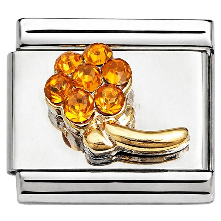 Amber Bling Flower Italian Charm